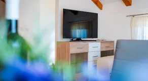 Apartment Bogdanovic - Image 4