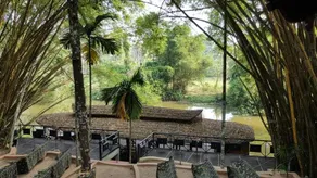 Rain Forest Ayur County Resort - Image 5