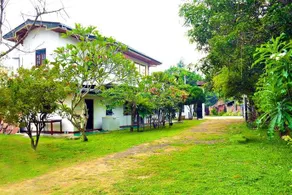 Thambili Garden - Image 4