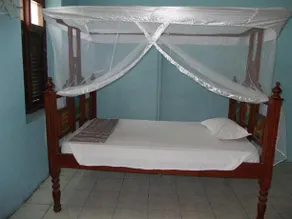 Zanzibar Dorm Lodge 222 Hurumzi - Image 3