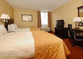 Clarion Hotel - Image 5