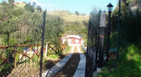 Villa Teresa - Image 3