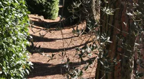 Villa Violetta - Image 5