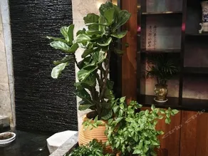 Jingyi Express Hotel - Image 4