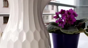 Barjas Apartment - Image 5