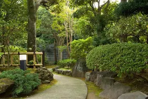 Hanare Kitaoka - Image 5
