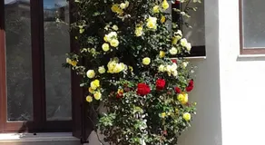 Colori Di Sicilia - Image 2