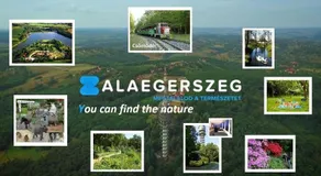 FairyGarden + Tale House / TuenderKert + MeseHaziko - Image 3