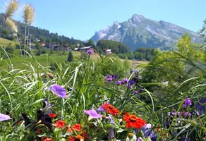Chalet-Hôtel du Borderan - Image 3