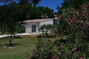 ANCIEN VIGNOBLE - Image 4