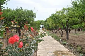Mazi Sahil Pansiyon - Image 5