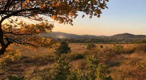Green Buda Valley: Holiday home with garden - Image 2