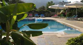 Pasha Apart Hotel - Image 2