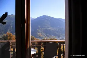 Le Relais Fleuri - Image 4
