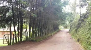 Recanto da Natureza - Image 2