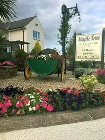 Mapletree Guesthouse - Image 4