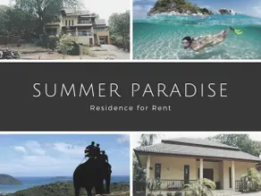 Summer Paradise - Image 4