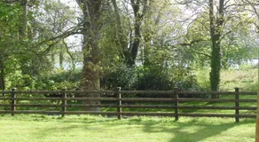 Lough Rynn-Lord Leitrim - Image 3