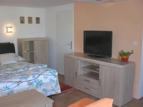 Dům U Lesa - Image 5