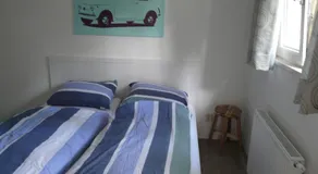 Dolfijn - Image 4