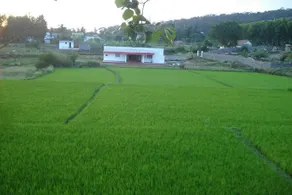 Yelagiri Farm House - Image 3