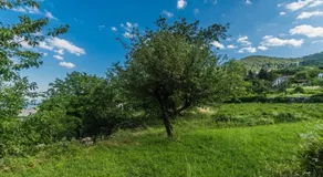 Idyllic Holiday House For Two - Image 2