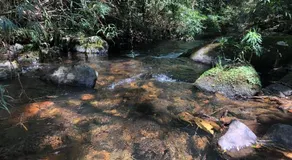 Sítio Mutandis - Image 3