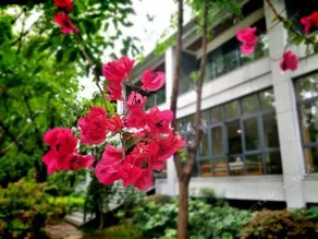 Shangju Lakeview Inn - Image 2