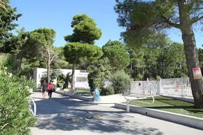 Camping Club Taxo les Pins - Image 4