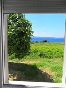Summerhouse Calypso - Image 5