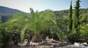 Villa Aurora - Image 4