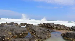 Silver Dolphin Holidays - Image 3