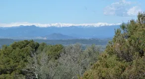 Campo La Carena - Image 2
