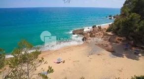 Uhc Casa Daurada - Image 5