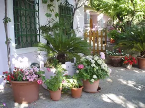 Apartment Saganic - Image 2