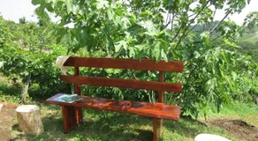 Holiday Home Fijolica - Image 4
