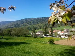 Hôtel du Chasseur - Image 5