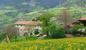 Unterfinser - Image 4
