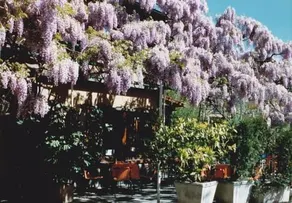Albergo Ristorante Campagna - Image 4