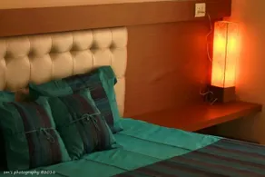 Goa Fiesta - Image 3
