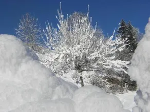 Auberge du Furon - Image 3