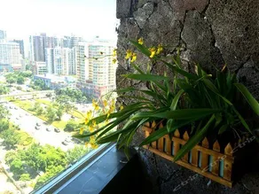 Coconut Dream Hotel - Image 5