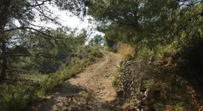 Yurta Naranja - Image 4