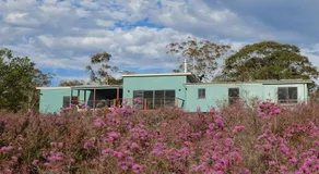 Tea Tree Hollow - Image 2