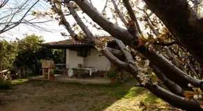 Casa Rural Mirador Los Cotos - Image 5