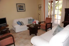 Aloe Zante - Image 5
