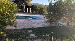 FINCA EL PARAISO - MULA - Image 2