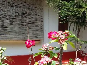 Eadens Hermitage Home Stay - Image 3