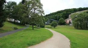 Ricarda - Image 4