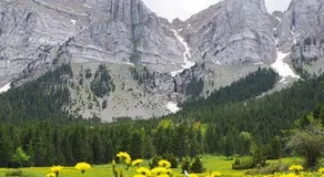 Ático con encanto en Bellver de Cerdanya - Image 2